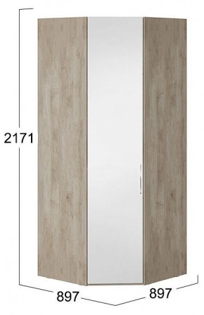 Шкаф платяной Эмбер СМ-348.07.007 L в Камышлове - kamyshlov.mebel24.online | фото 3