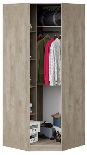 Шкаф платяной Эмбер СМ-348.07.007 L в Камышлове - kamyshlov.mebel24.online | фото 4