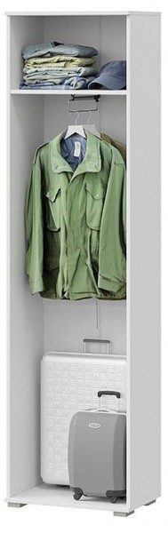 Шкаф платяной Эрика в Камышлове - kamyshlov.mebel24.online | фото 2
