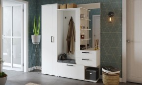 Шкаф платяной Эрика в Камышлове - kamyshlov.mebel24.online | фото 3