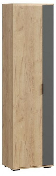 Шкаф платяной Эвита в Камышлове - kamyshlov.mebel24.online | фото