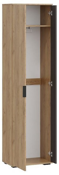 Шкаф платяной Эвита в Камышлове - kamyshlov.mebel24.online | фото 2