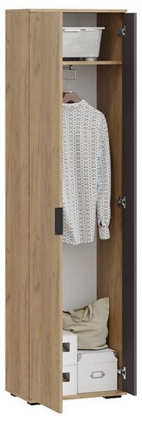 Шкаф платяной Эвита в Камышлове - kamyshlov.mebel24.online | фото 3