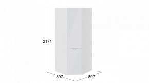 Шкаф платяной Глосс СМ-319.07.311 в Камышлове - kamyshlov.mebel24.online | фото 3