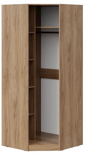 Шкаф платяной Глосс СМ-319.07.311 в Камышлове - kamyshlov.mebel24.online | фото 2
