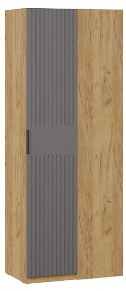 Шкаф платяной Хилтон в Камышлове - kamyshlov.mebel24.online | фото