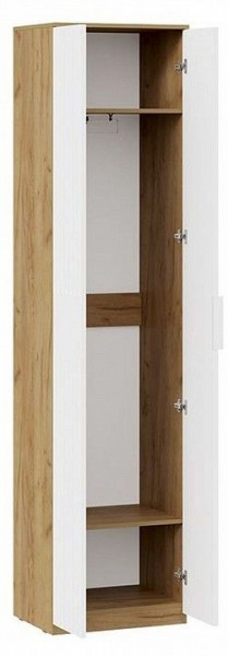 Шкаф платяной Хилтон Исп. 2 в Камышлове - kamyshlov.mebel24.online | фото 2