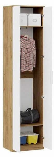 Шкаф платяной Хилтон Исп. 2 в Камышлове - kamyshlov.mebel24.online | фото 3