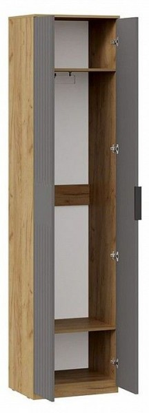 Шкаф платяной Хилтон Исп. 2 в Камышлове - kamyshlov.mebel24.online | фото 2
