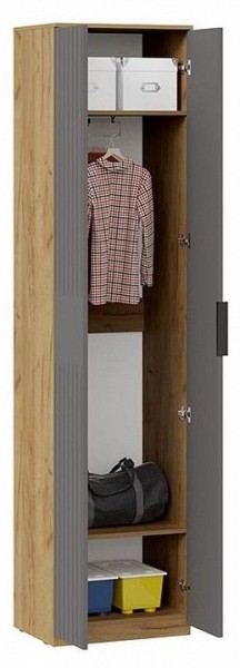 Шкаф платяной Хилтон Исп. 2 в Камышлове - kamyshlov.mebel24.online | фото 3