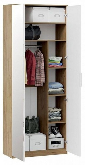 Шкаф платяной Хилтон Исп. 2.1 в Камышлове - kamyshlov.mebel24.online | фото 4