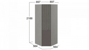 Шкаф платяной Либерти СМ-297.07.033 в Камышлове - kamyshlov.mebel24.online | фото 3