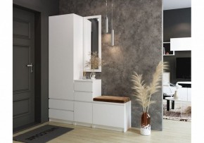Шкаф платяной Мадера в Камышлове - kamyshlov.mebel24.online | фото 4