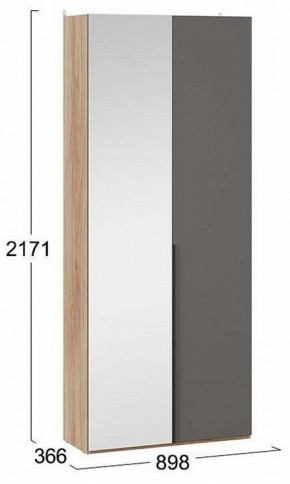 Шкаф платяной Порто СМ-393.07.225 в Камышлове - kamyshlov.mebel24.online | фото 3