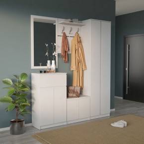 Шкаф платяной ШО-4 в Камышлове - kamyshlov.mebel24.online | фото 6