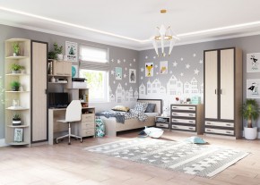 НАОМИ Шкаф 2-х створчатый с 2 ящиками в Камышлове - kamyshlov.mebel24.online | фото 2