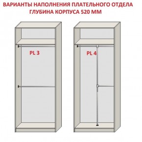 Шкаф распашной серия «ЗЕВС» (PL3/С1/PL2) в Камышлове - kamyshlov.mebel24.online | фото 10