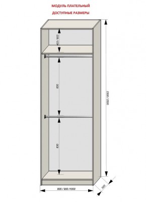 Шкаф распашной серия «ЗЕВС» (PL3/С1/PL2) в Камышлове - kamyshlov.mebel24.online | фото 12