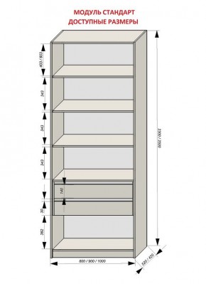 Шкаф распашной серия «ЗЕВС» (PL3/С1/PL2) в Камышлове - kamyshlov.mebel24.online | фото 13