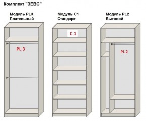 Шкаф распашной серия «ЗЕВС» (PL3/С1/PL2) в Камышлове - kamyshlov.mebel24.online | фото 2