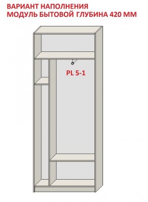 Шкаф распашной серия «ЗЕВС» (PL3/С1/PL2) в Камышлове - kamyshlov.mebel24.online | фото 4