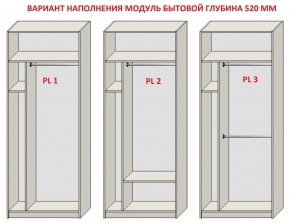 Шкаф распашной серия «ЗЕВС» (PL3/С1/PL2) в Камышлове - kamyshlov.mebel24.online | фото 5