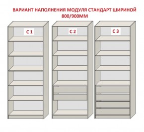 Шкаф распашной серия «ЗЕВС» (PL3/С1/PL2) в Камышлове - kamyshlov.mebel24.online | фото 6