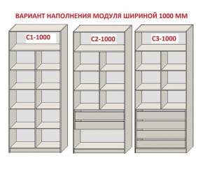 Шкаф распашной серия «ЗЕВС» (PL3/С1/PL2) в Камышлове - kamyshlov.mebel24.online | фото 7