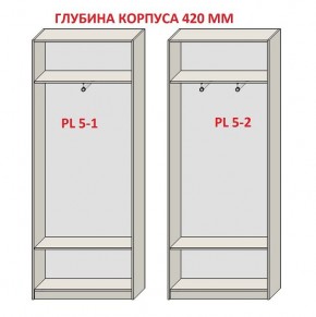 Шкаф распашной серия «ЗЕВС» (PL3/С1/PL2) в Камышлове - kamyshlov.mebel24.online | фото 8