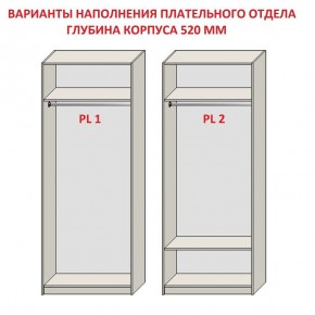 Шкаф распашной серия «ЗЕВС» (PL3/С1/PL2) в Камышлове - kamyshlov.mebel24.online | фото 9