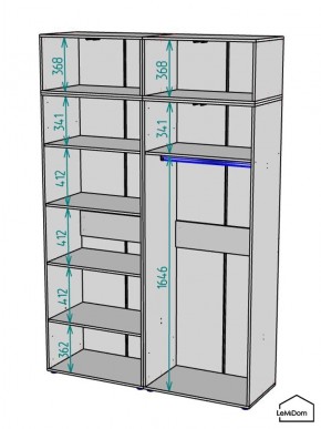 Шкаф с антресолью Linnea MHR-4A-1 2450х1600х510 (ДВ-М 11.1.25) в Камышлове - kamyshlov.mebel24.online | фото 3