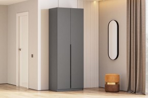 Шкаф ШК-5 + 2 полки (800) Графит серый в Камышлове - kamyshlov.mebel24.online | фото 2