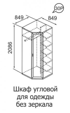 Шкаф угловой для одежды Ника-Люкс 30 без зеркал в Камышлове - kamyshlov.mebel24.online | фото 3