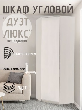 Шкаф угловой Дуэт Люкс без зеркала в Камышлове - kamyshlov.mebel24.online | фото 1