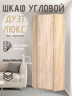 Шкаф угловой Дуэт Люкс без зеркала в Камышлове - kamyshlov.mebel24.online | фото 5