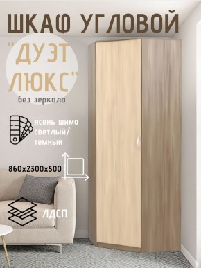 Шкаф угловой Дуэт Люкс без зеркала в Камышлове - kamyshlov.mebel24.online | фото 7