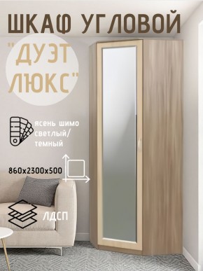 Шкаф угловой Дуэт Люкс с зеркалом в Камышлове - kamyshlov.mebel24.online | фото 3