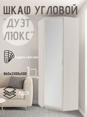 Шкаф угловой Дуэт Люкс с зеркалом в Камышлове - kamyshlov.mebel24.online | фото 6