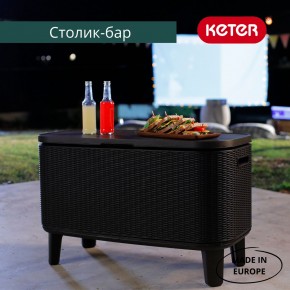 Стол Беви Бар (Bevy Bar Large Cool Bar), графит в Камышлове - kamyshlov.mebel24.online | фото 4