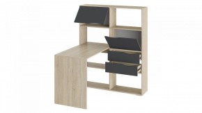 Стол компьютерный Тип 7 в Камышлове - kamyshlov.mebel24.online | фото 2