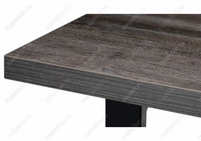 Стол обеденный Эльпатия в Камышлове - kamyshlov.mebel24.online | фото 4