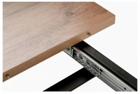 Стол обеденный Лота Лофт в Камышлове - kamyshlov.mebel24.online | фото 6