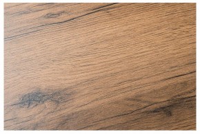 Стол обеденный Лота Лофт в Камышлове - kamyshlov.mebel24.online | фото 5