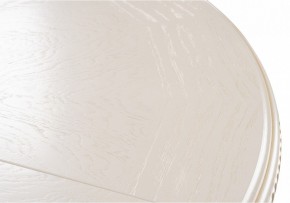 Стол обеденный Нозеан в Камышлове - kamyshlov.mebel24.online | фото 9