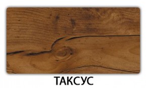 Стол обеденный Паук пластик Тростник в Камышлове - kamyshlov.mebel24.online | фото 18