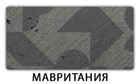 Стол обеденный Паук пластик Тростник в Камышлове - kamyshlov.mebel24.online | фото 9