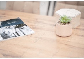 Стол обеденный Тринити Лофт 120 в Камышлове - kamyshlov.mebel24.online | фото 6