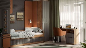 Стол письменный Хилтон Тип 1 в Камышлове - kamyshlov.mebel24.online | фото 6
