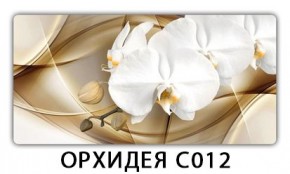 Стол раздвижной Трилогия с фотопечатью Доска D111 в Камышлове - kamyshlov.mebel24.online | фото 13