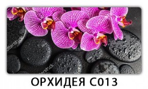 Стол раздвижной Трилогия с фотопечатью Доска D111 в Камышлове - kamyshlov.mebel24.online | фото 14